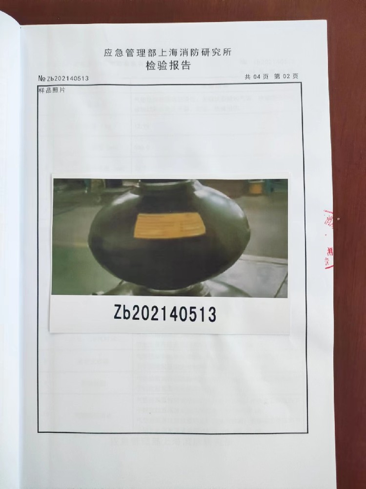 检测报告