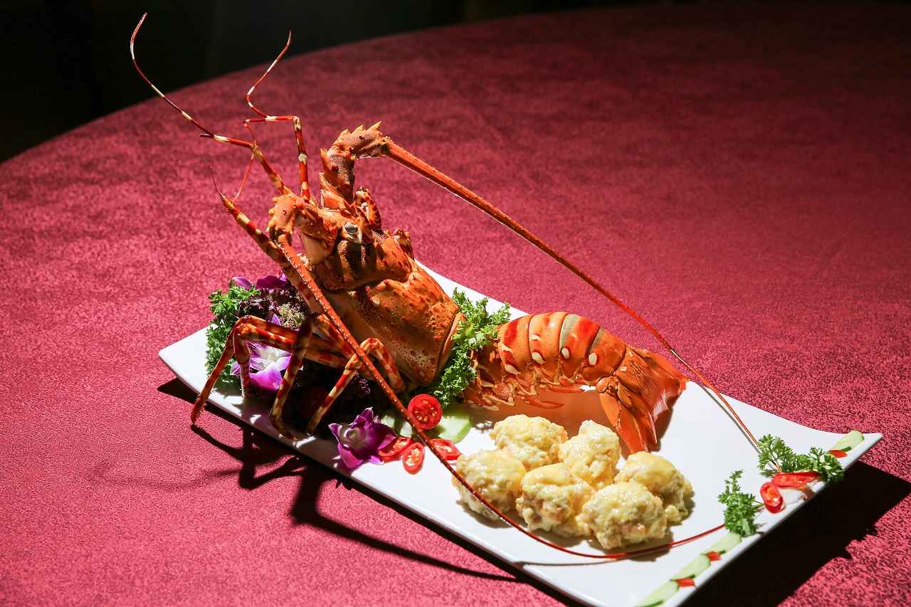 the-dish-3415390_1280
