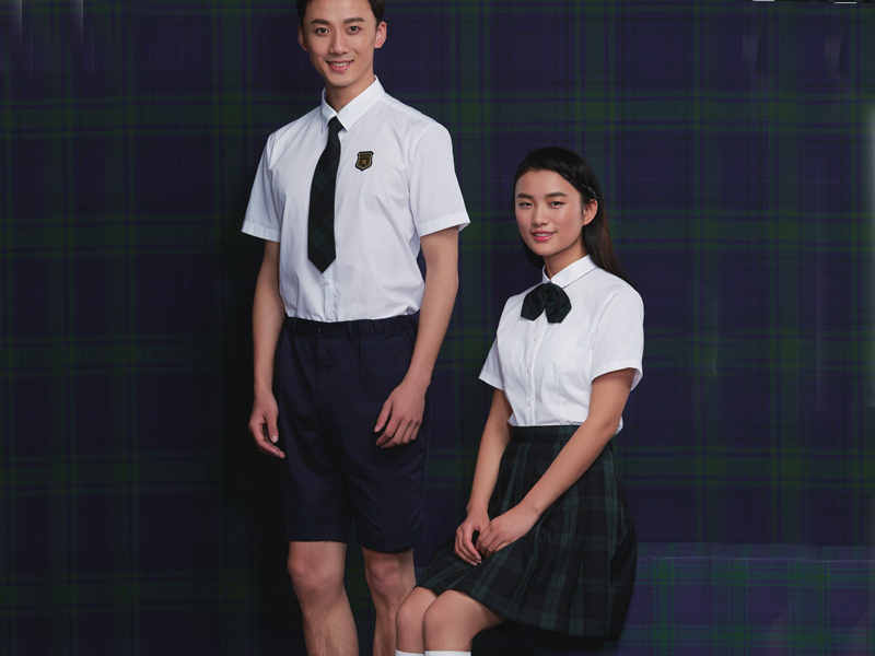 中学系列