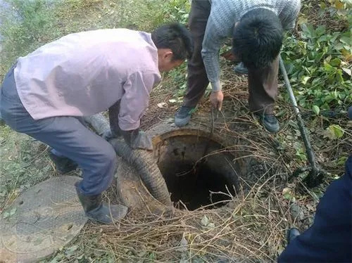 粪池清理