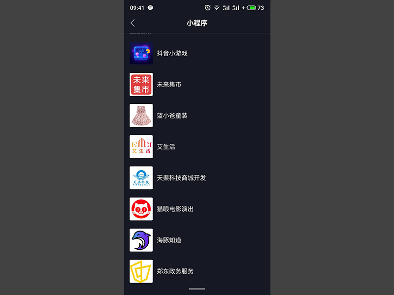 小程序定制软件开发