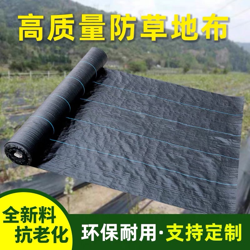 防草地布