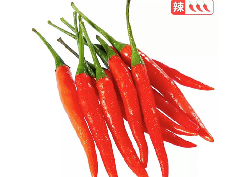 蔬菜配送-小米椒