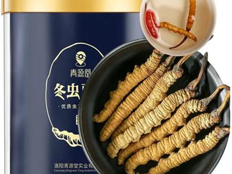 虫草回收