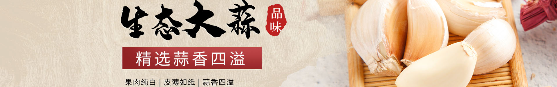 公司简介