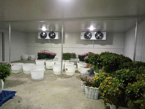 鲜花冷藏库