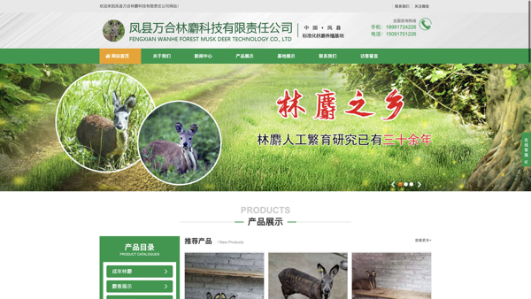 响应式网站模板_一站式网站建设_模板编号006