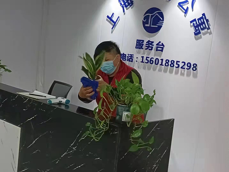案例展示