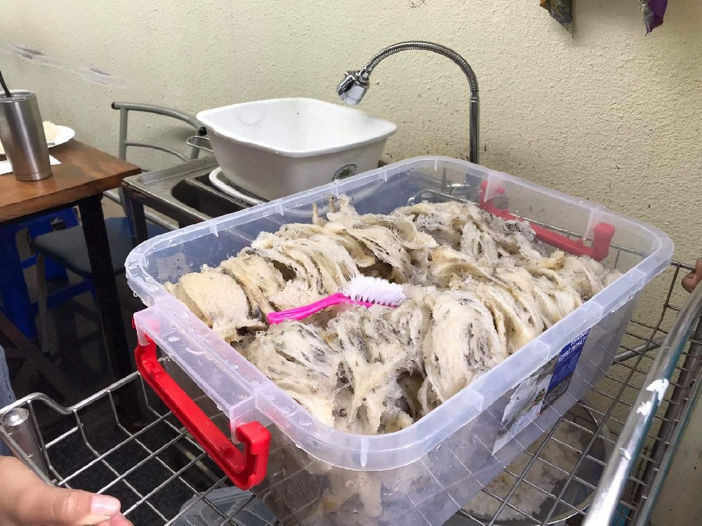 马来西亚一燕窝加工中心