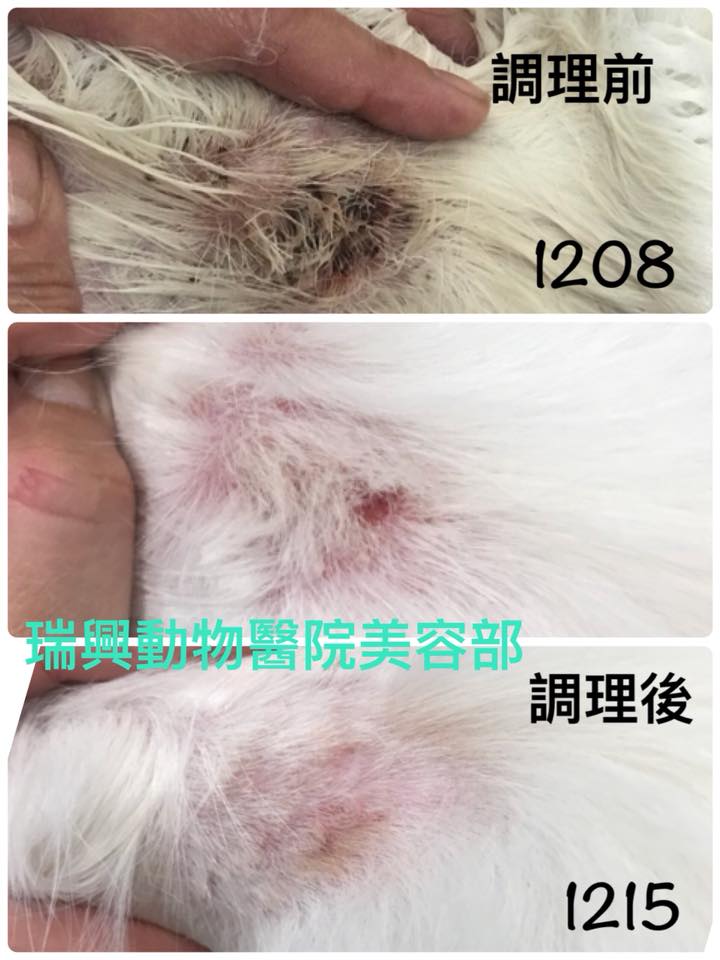 某宠物连锁——宠物摩氧浴