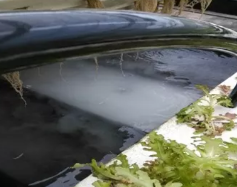 水培蔬菜微纳米气泡系统