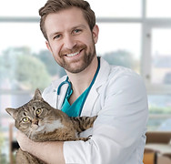 Visit to the Vet