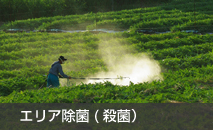区域消毒(灭菌)