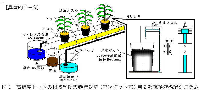 使用臭氧水的安全农业