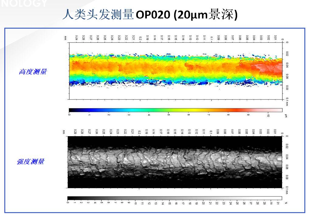 人类头发测量