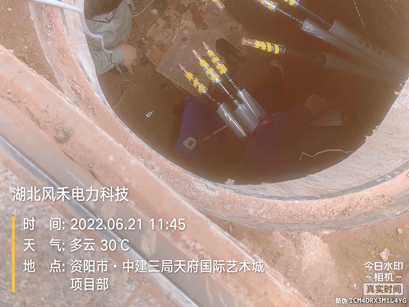 案例展示