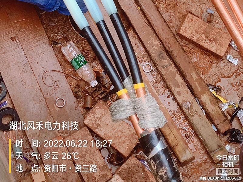 案例展示