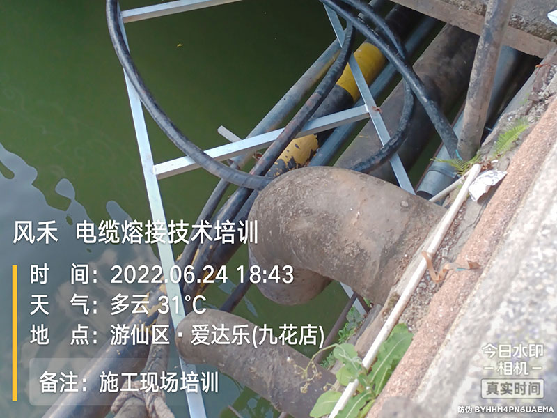 案例展示
