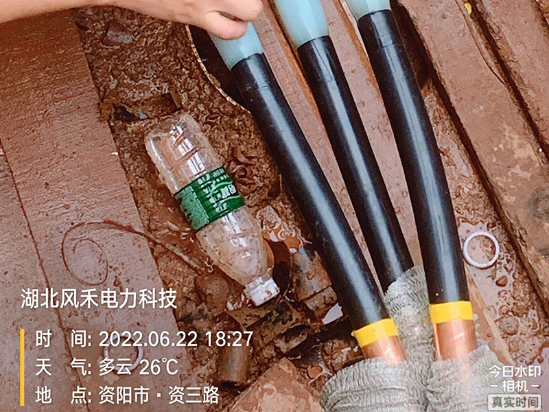 案例展示