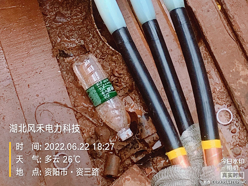 案例展示