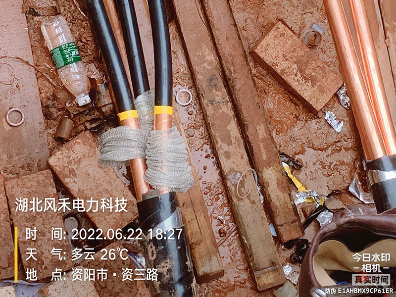 案例展示