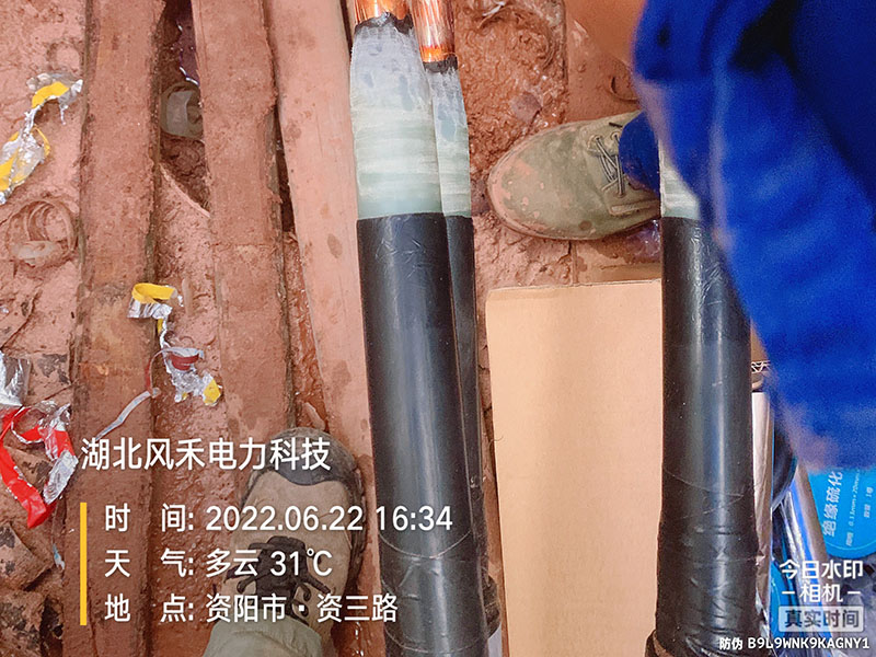 案例展示