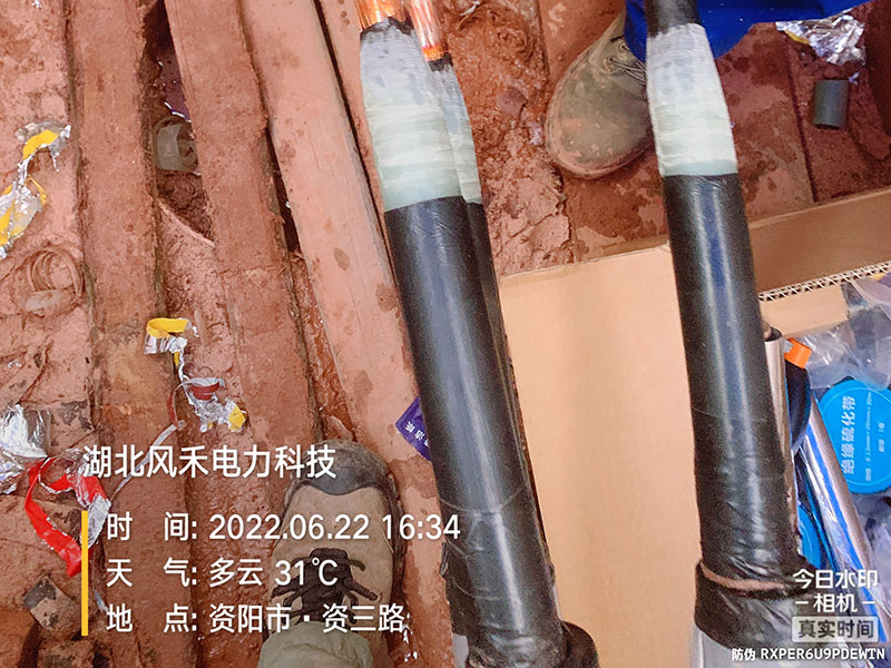 案例展示