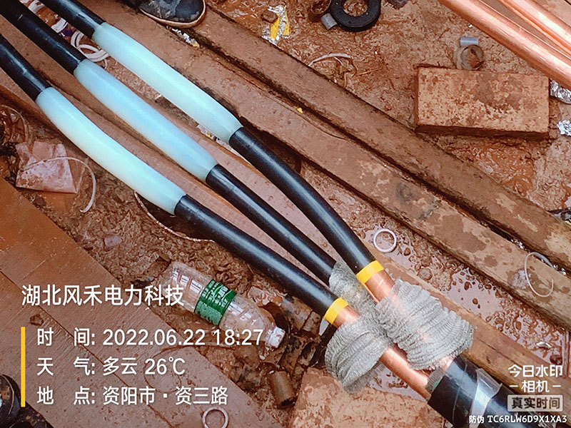 案例展示