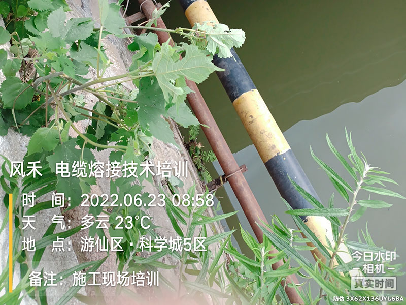案例展示
