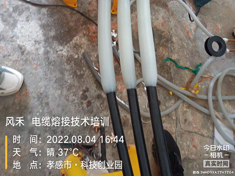 案例展示