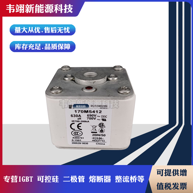 巴斯曼原装进口快速熔断器170M5313 170M5314 170M5315 170M5316