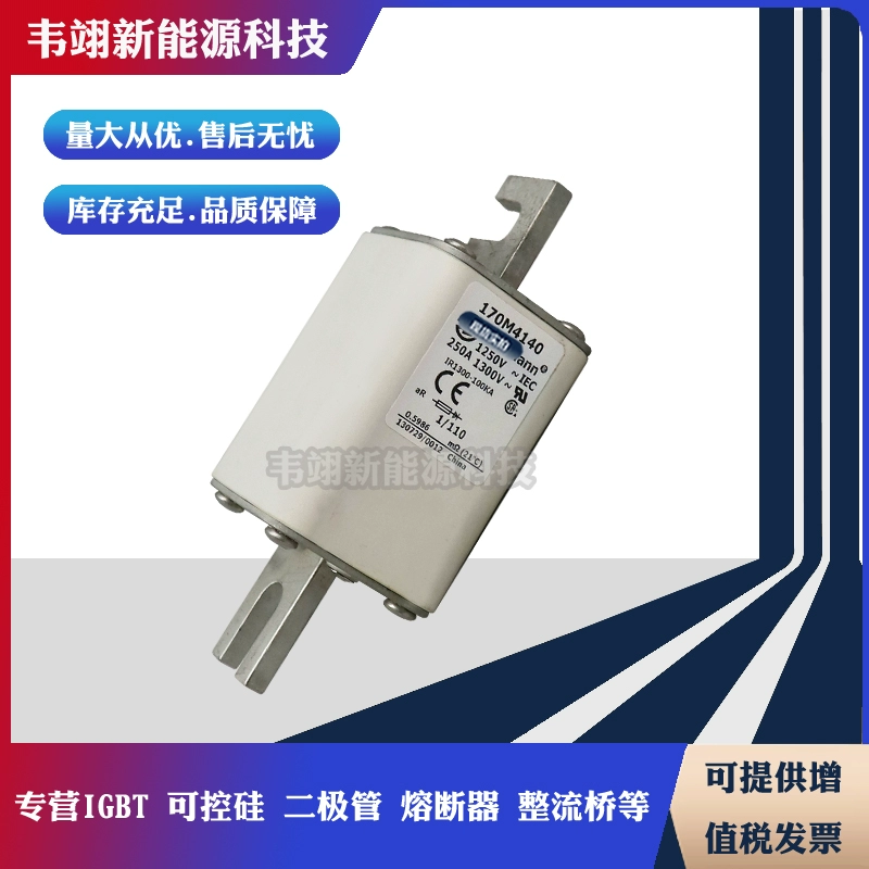 巴斯曼原装进口现货熔断器170M4113 170M4114 170M4115全新保险丝