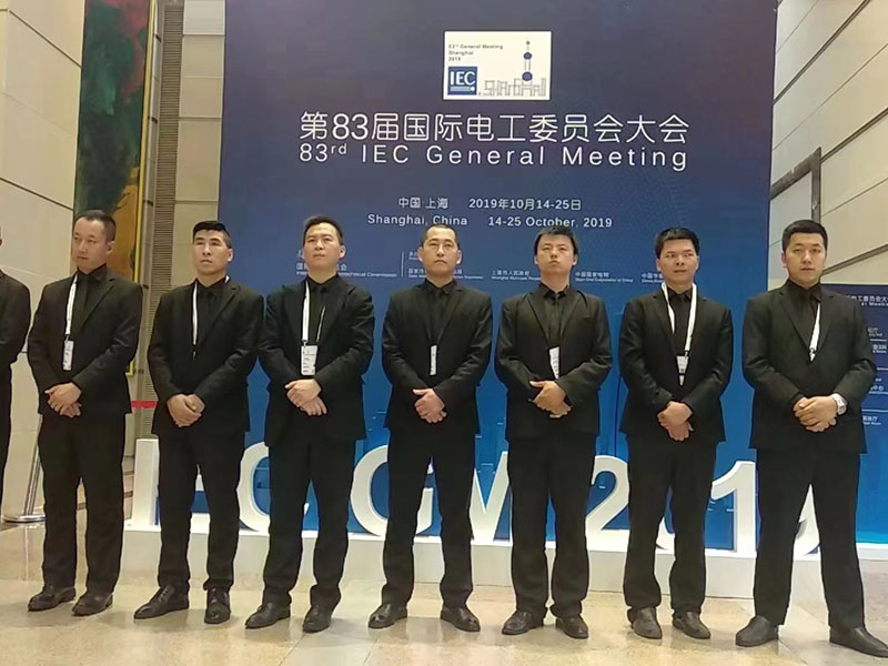 国际会议临时安保