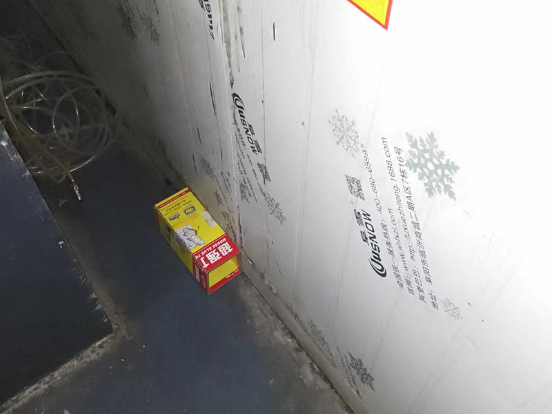 不止粘鼠板