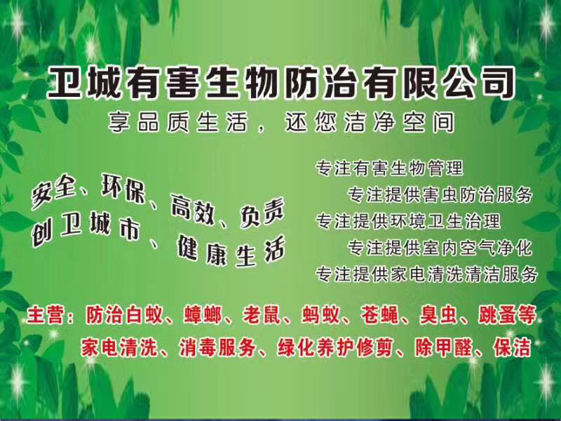 漳州灭鼠公司_白蚁防治_漳浦除四害消杀电话-卫城有害生物防治