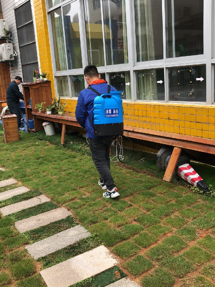 你知道什么是白蚁吗，这种害虫有什么危害？