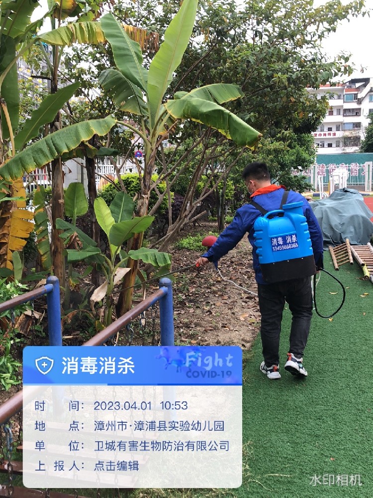 有哪些家庭白蚁防治的实用方法可以推荐？
