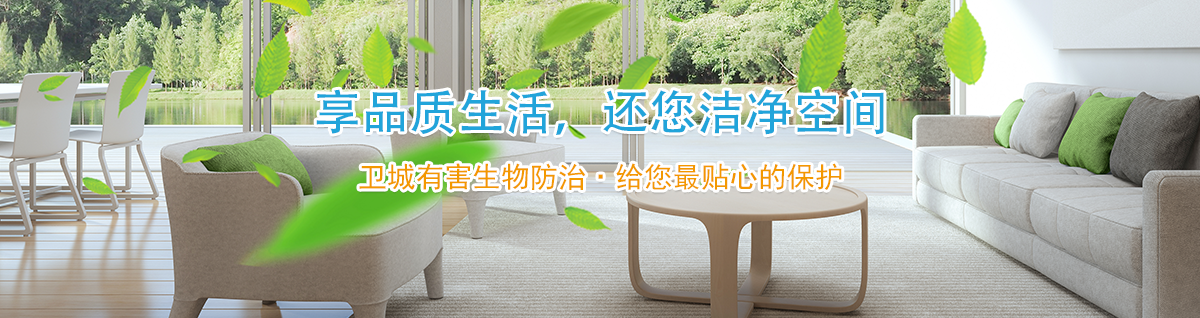 漳州灭鼠公司_白蚁防治_漳浦除四害消杀电话-卫城有害生物防治