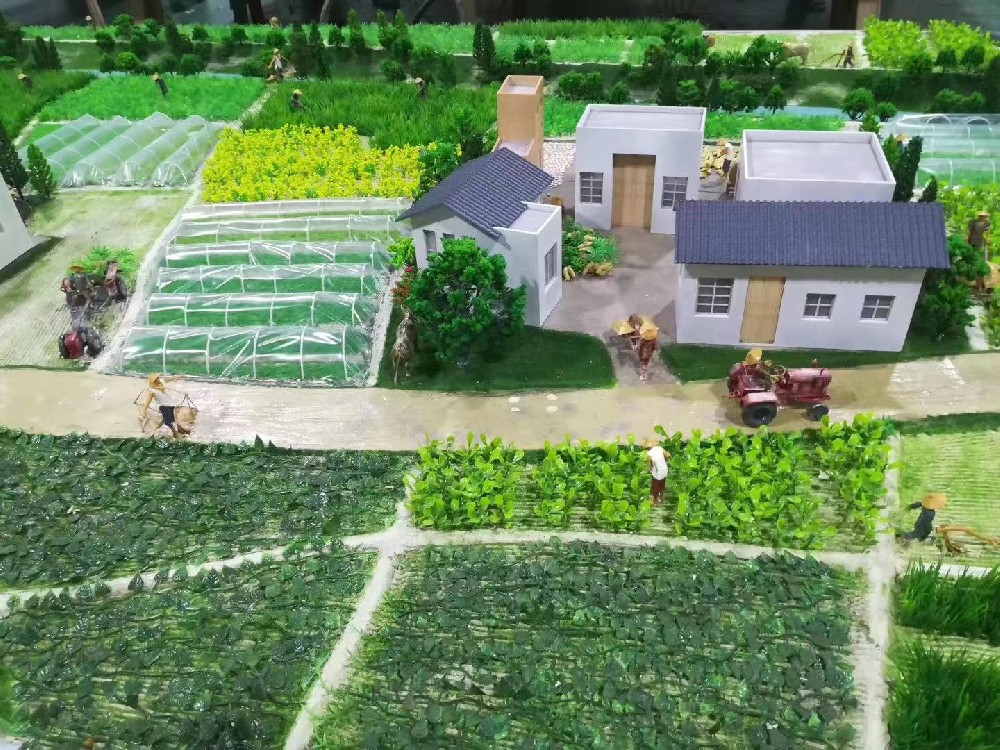 新农村建设模型