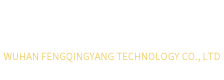 武汉风轻扬科技有限公司