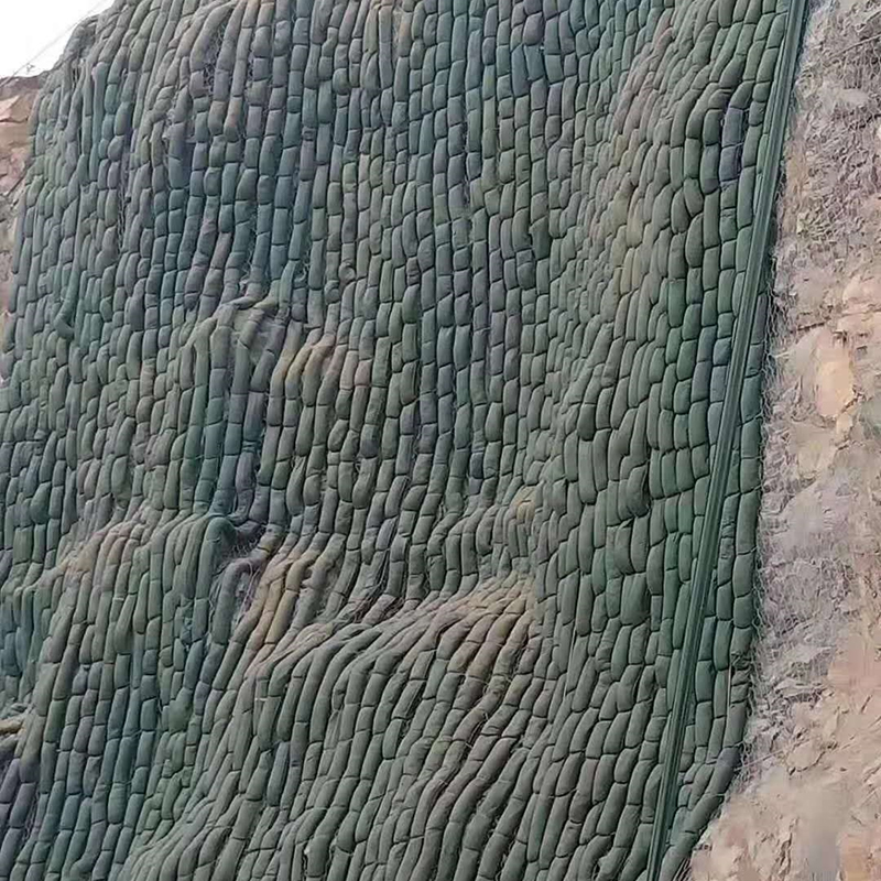 生态棒