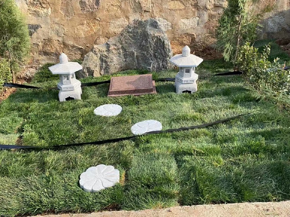 自选墓地