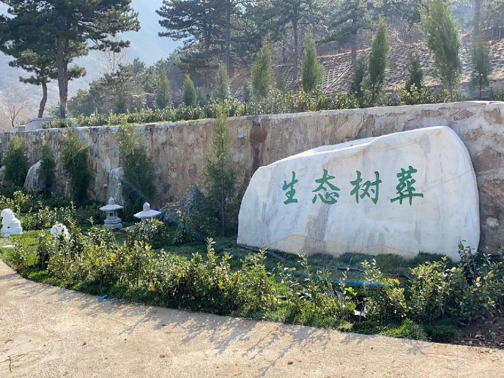 家族墓地