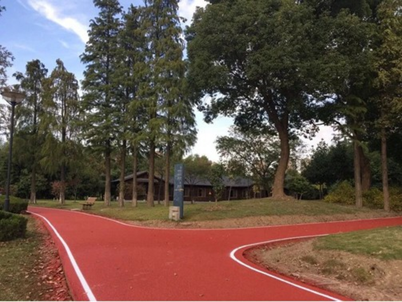环形步道