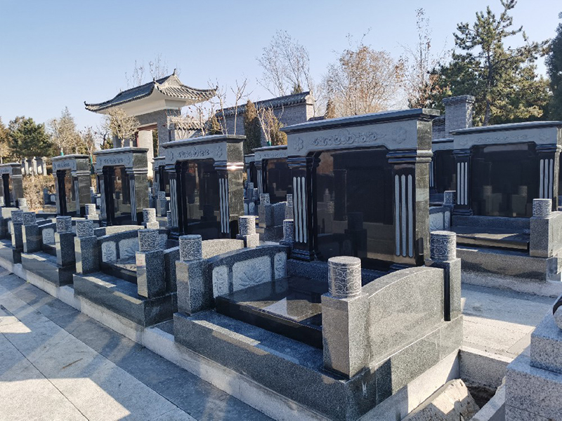 天泽 8.8万起