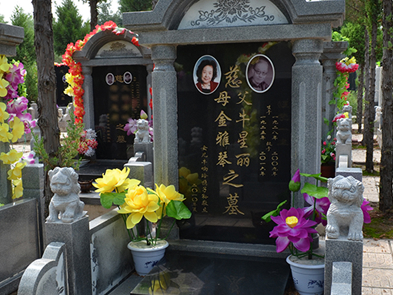 牛星丽 金雅琴