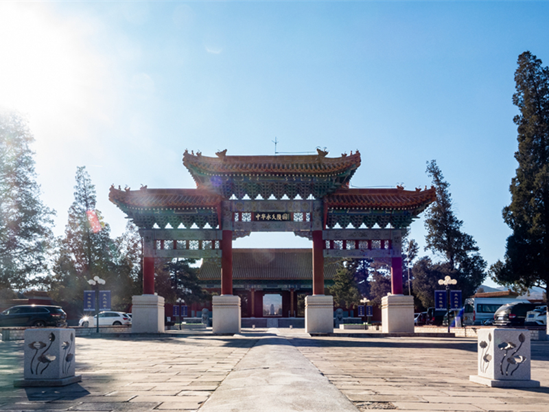 墓园展示