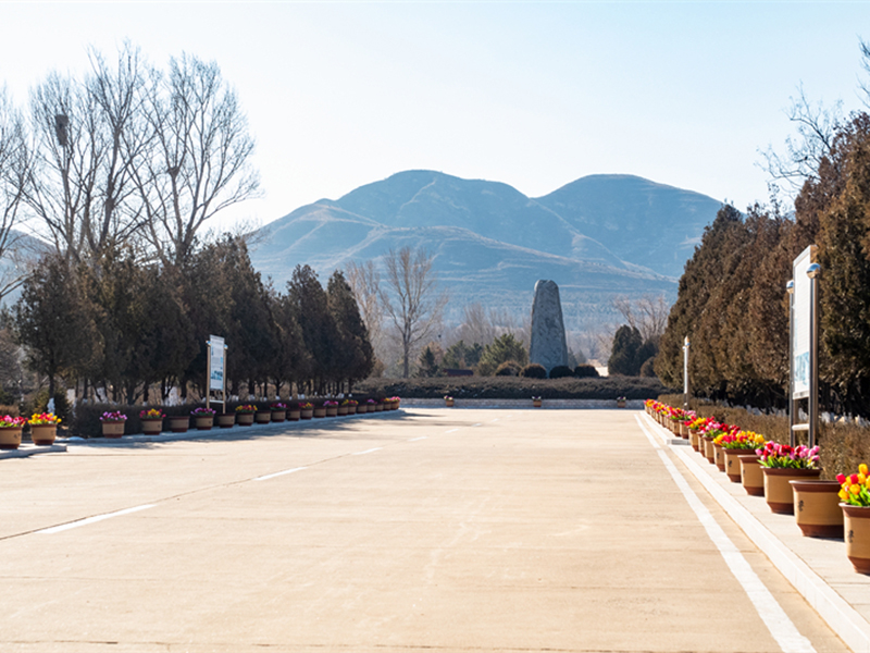 墓园展示
