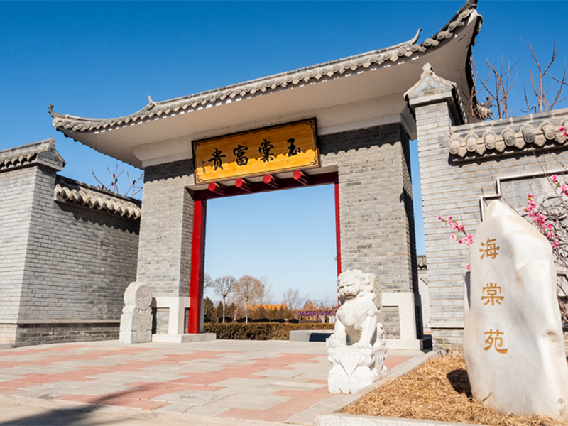 墓园展示