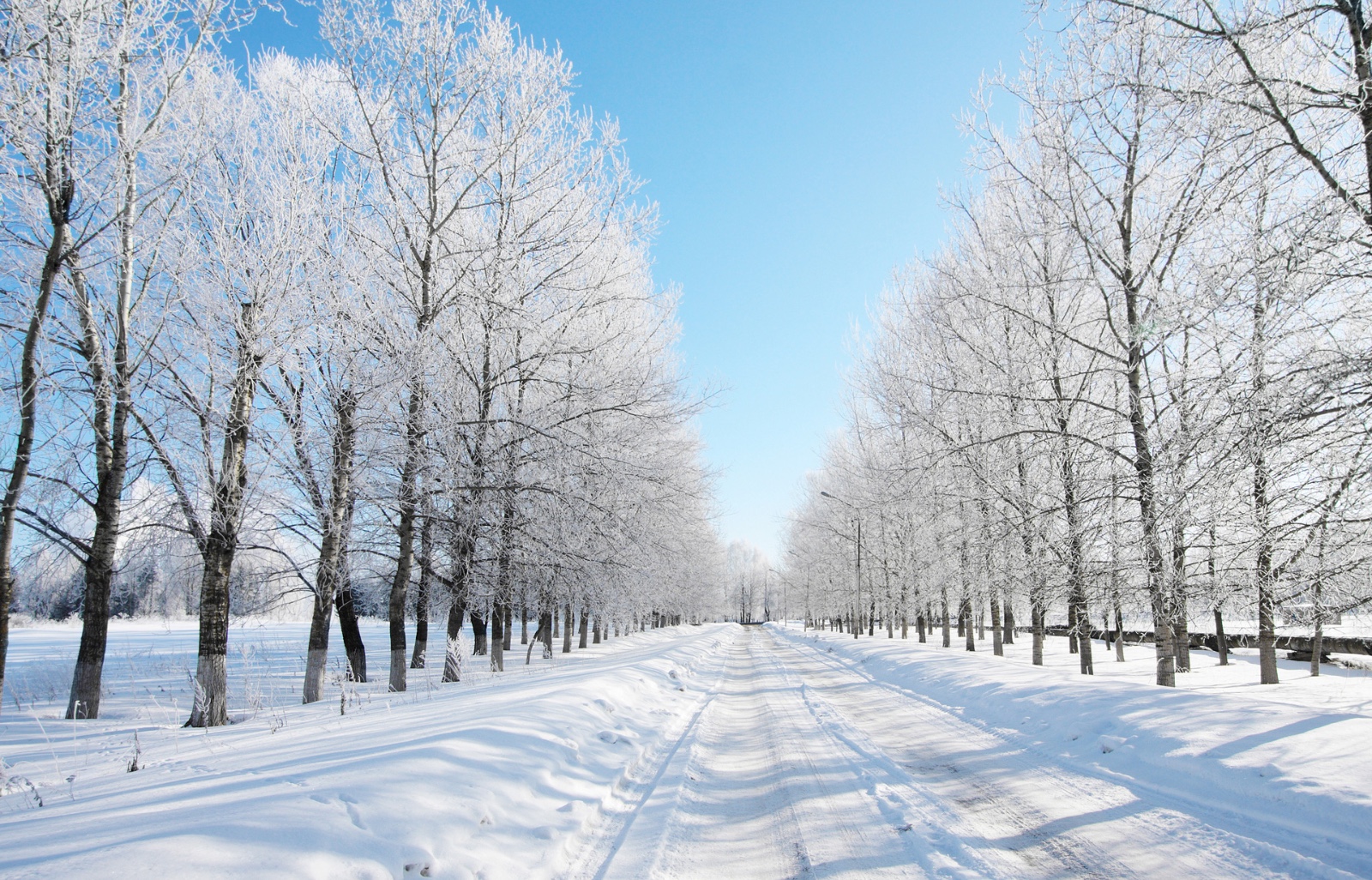 雪地,阳光